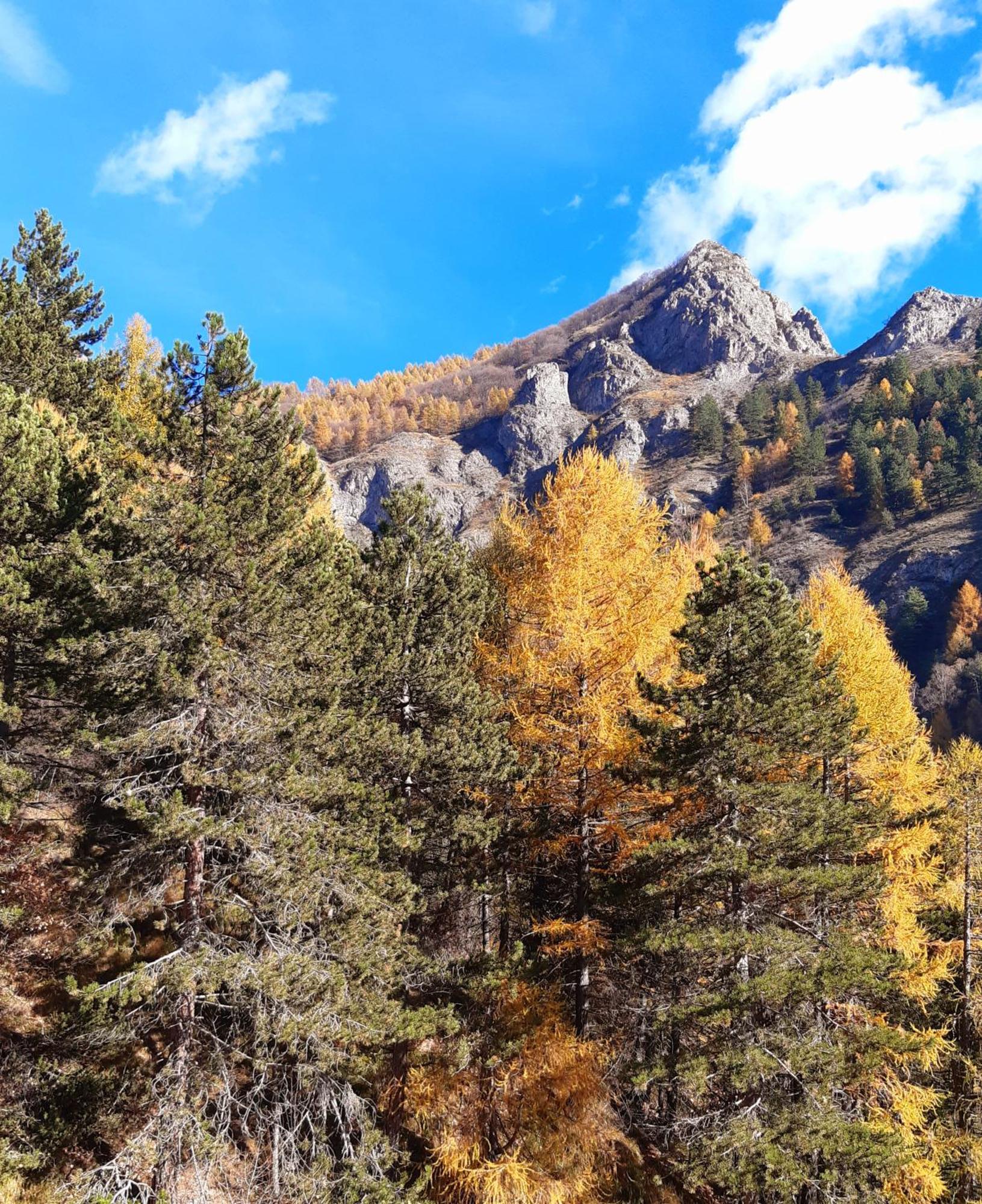 Alloggio Vinadio Buitenkant foto